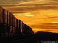 BNSF Sunset 5023 at Homer, CA on 14 March, 2006